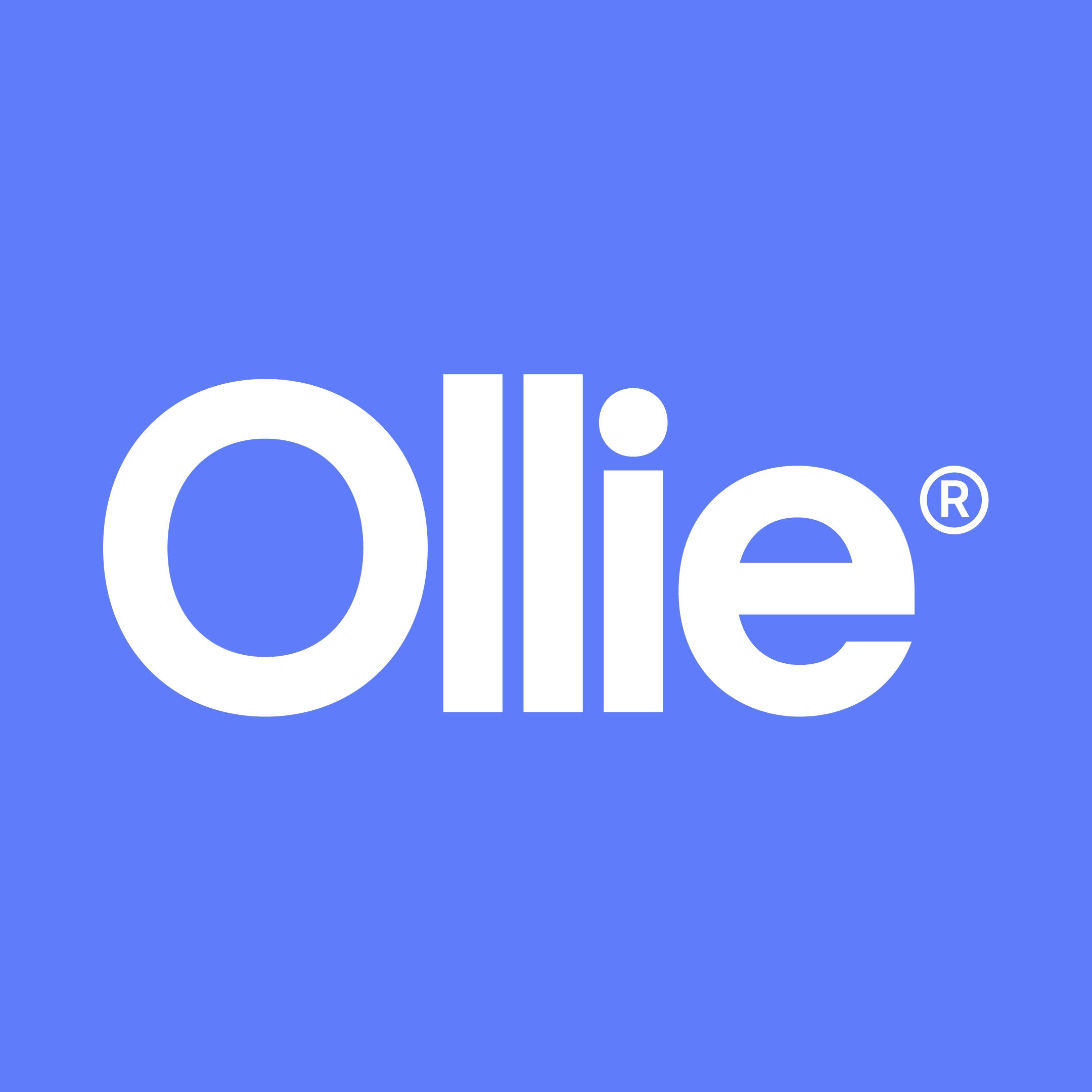 Ollie® Helmet Bag | There's a better way to store your helmet.